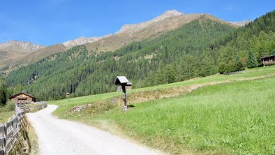 Natur Villgratental Sommer, © Edelberg Apartments