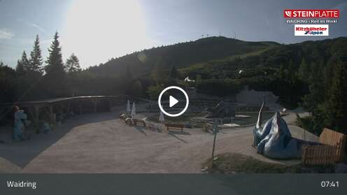 Webcam Triassic Park