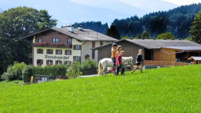 Außenansicht Sommer - Pony reiten