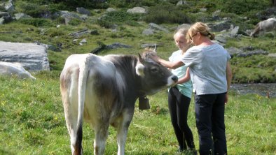 Sophia mit Ute bei den Kälbchen