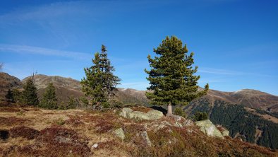 Herbst - Zeitlos