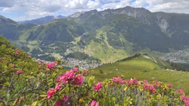 Alpine Rose Trail St. Anton, © TVB St. Anton am Arlberg/Josef Mallaun