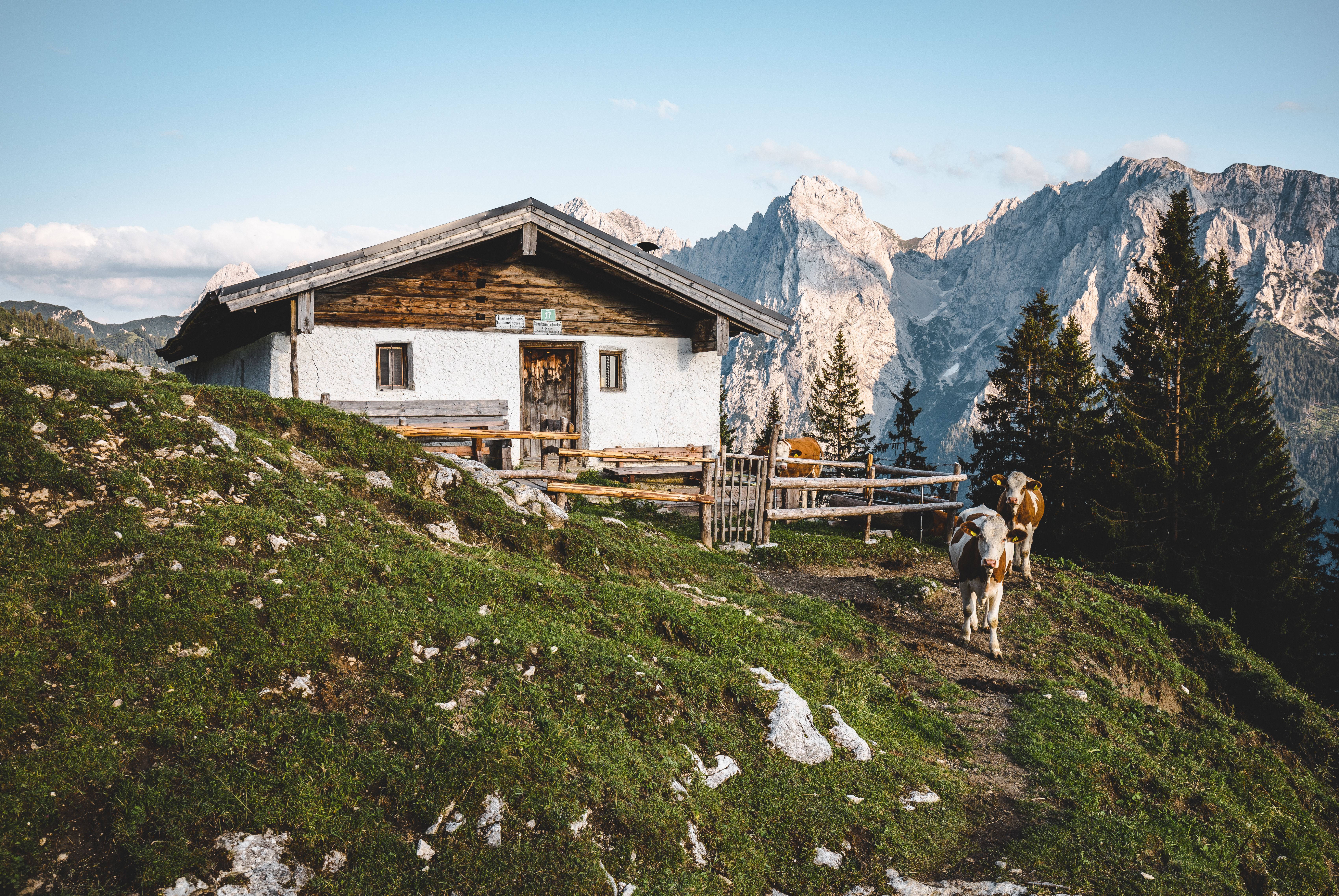 Nature experience in the Kaiser Mountains 