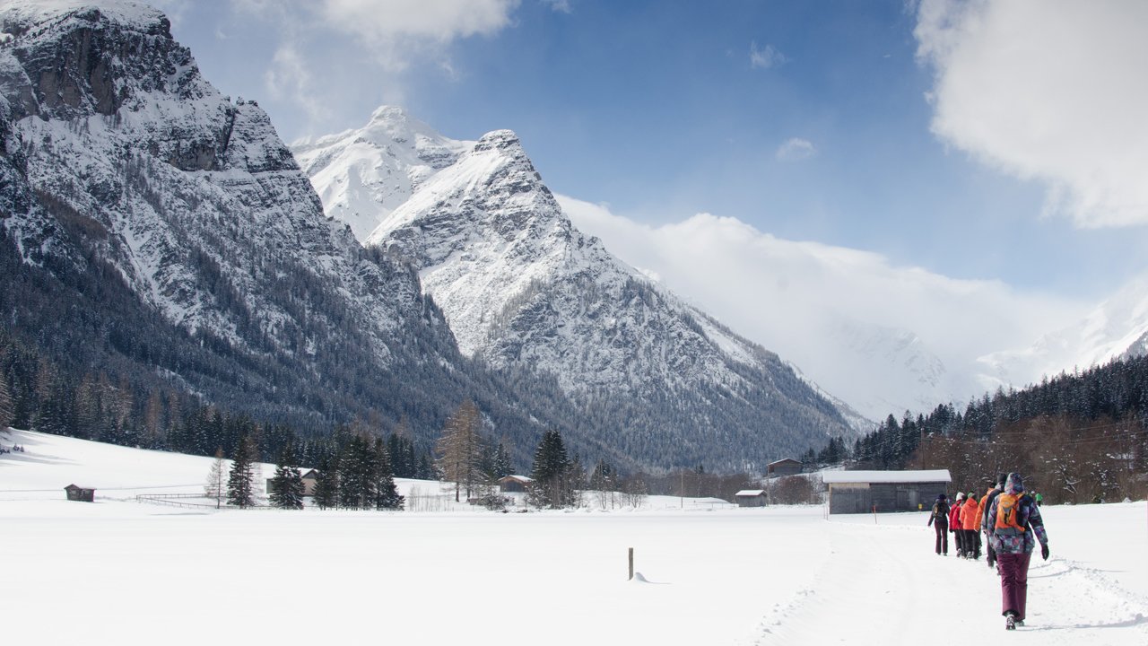 Therapeutic winter walks in the Wipptal Valley
