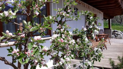 Terrasse Ferienwohnung Obstbaumblüte
