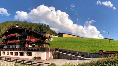 Top_Bergwald_Alpbach