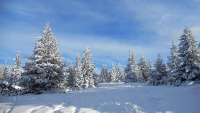 Wunderschöne Winterlandschaft