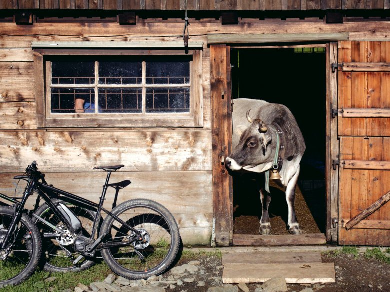 E-Biken in den Kitzbüheler Alpen