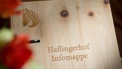 Haflingerhof_Dorfstrasse_54_Westendorf_07_2022_App