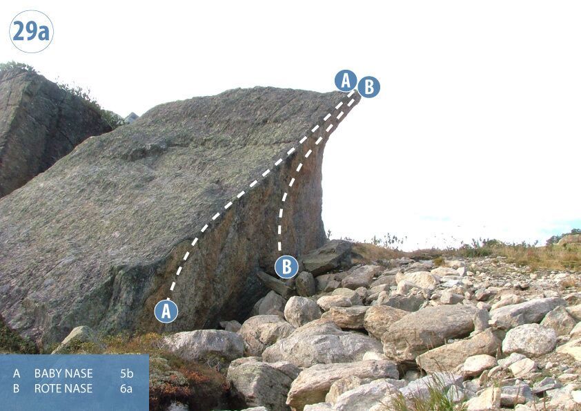 Topography
