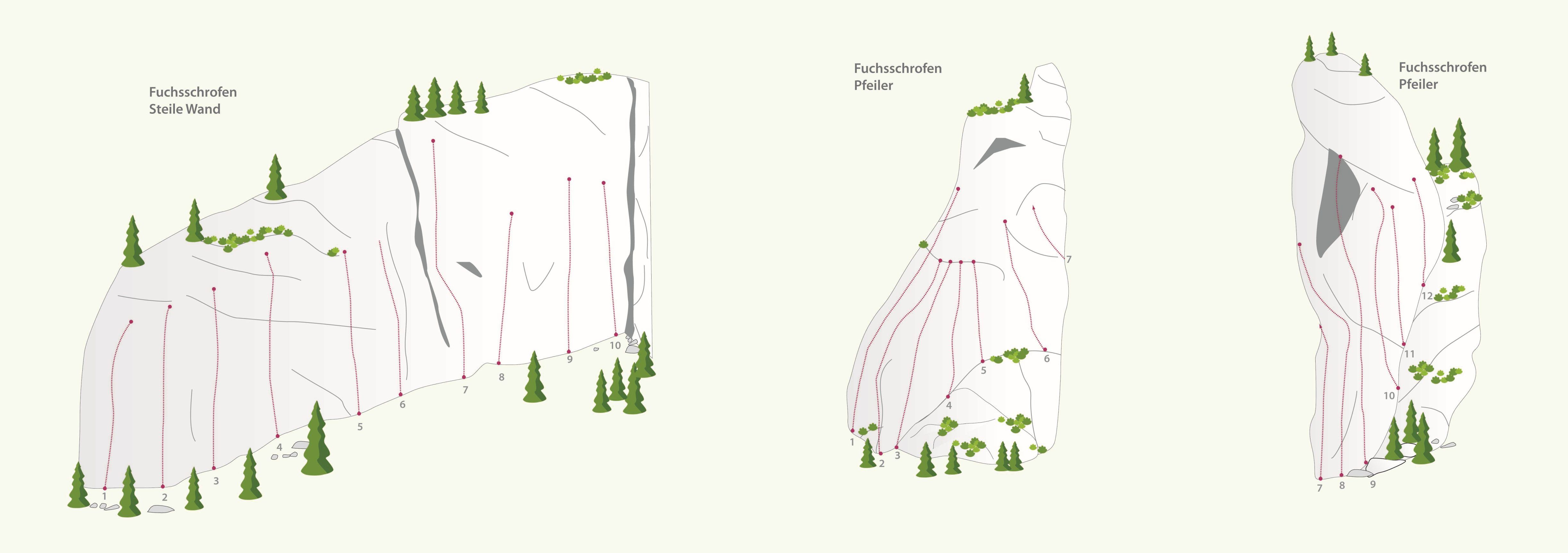 Topography