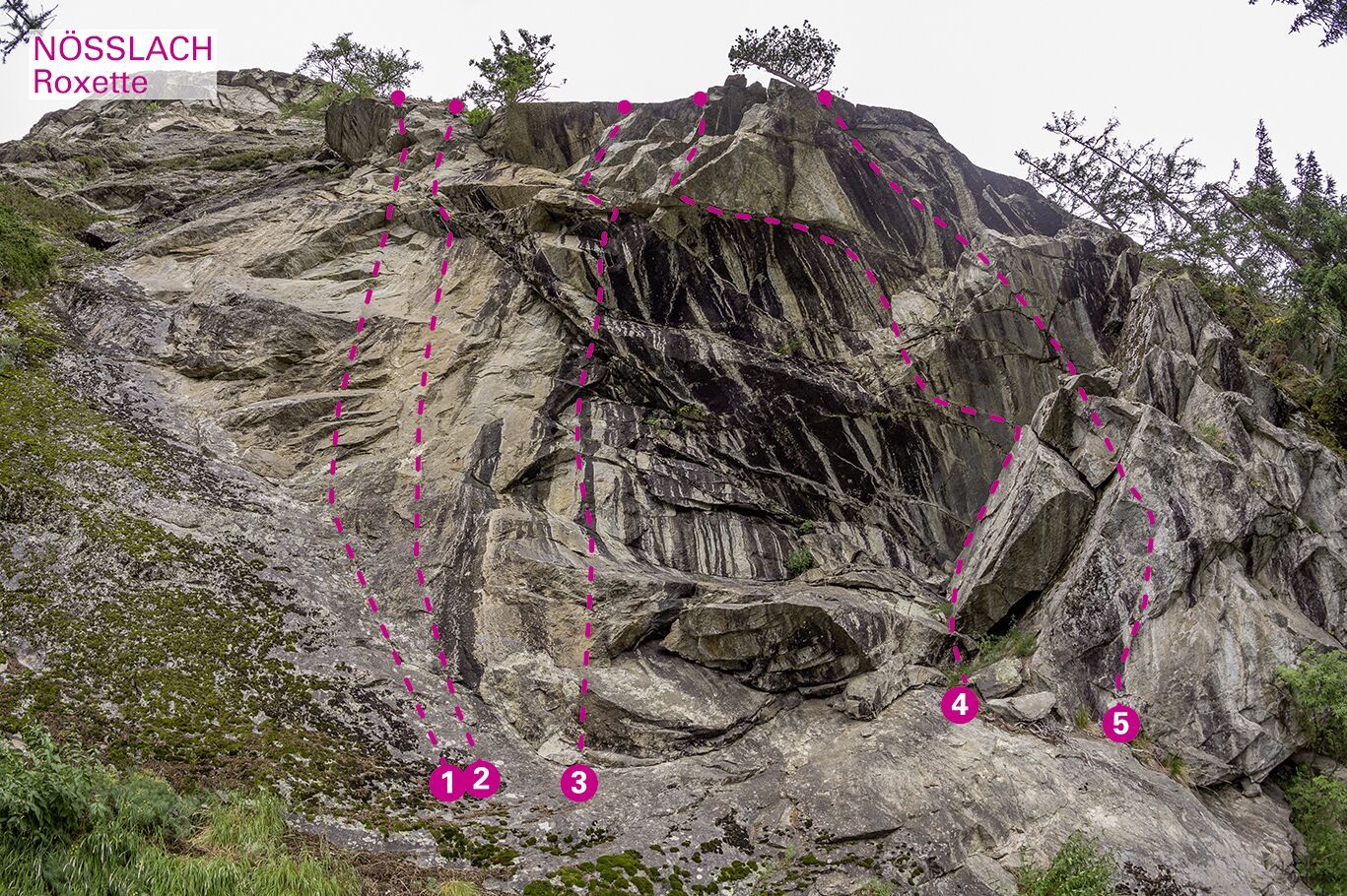 Topography