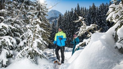 Schneeschuhwandern in Steinberg am Rofan  Snowshoe
