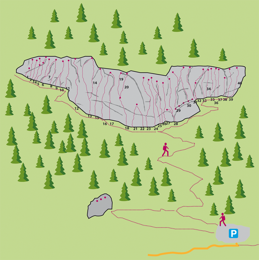 Topography