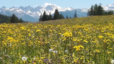 Tirol macht Spass, © Apartment Fernerkogel