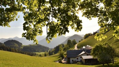 Berggasthof Moosbauer Erl - Ausblick im Sommer, © Gramshammer