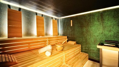 Wellness/ Bio-Sauna