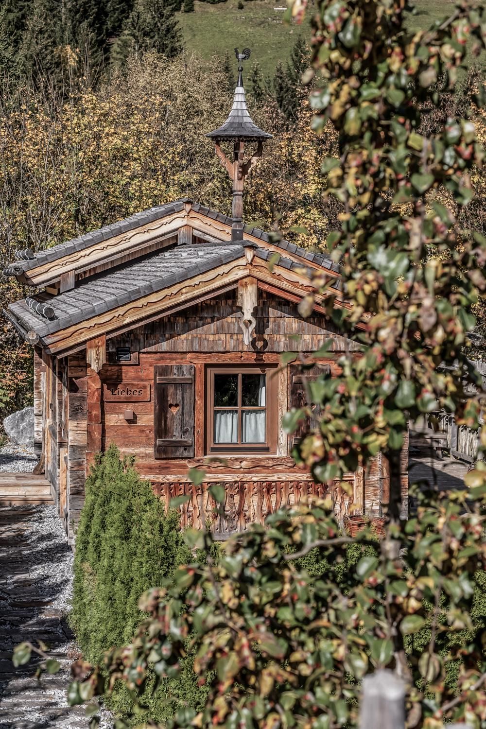 A cozy chalet surrounded by trees and green shrubs. In the background, gentle hills can be seen.