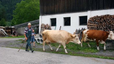 https://images.seekda.net/AT_UAB7-07-14-03/simiterhof_bauernhof-8.jpg