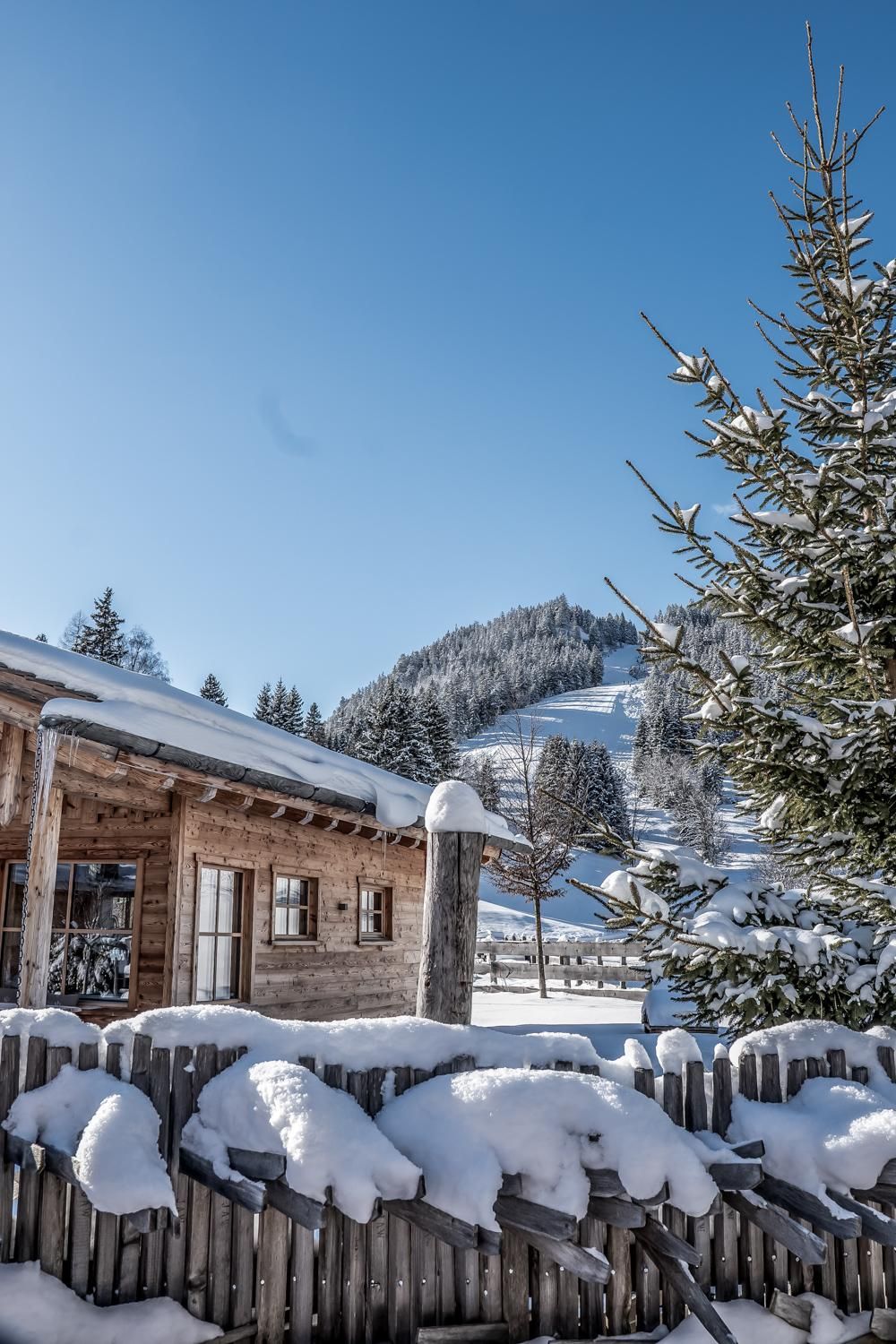 A charming chalet in the snow, surrounded by fir trees. In the background, there are snow-covered hills and a clear blue sky.