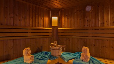 RAFFL_STA_WELLNESS_SAUNA018