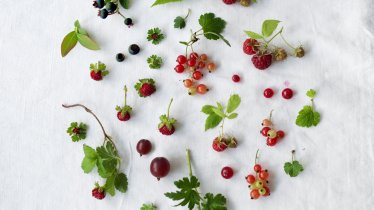 Wild berries, © Tirol Werbung / Kathrin Koschitzki