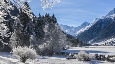 Winter hike in the Gschnitztal Valley, © Joakim Strickner