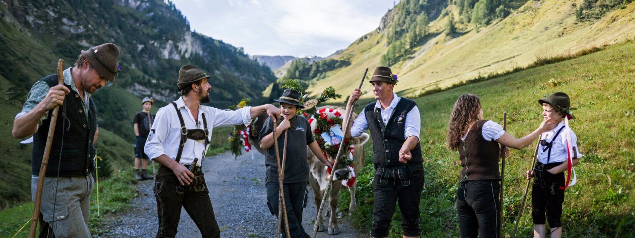 Cattle Drive in Steeg in the Lechtal Valley, © Tirol Werbung/Peter Neusser