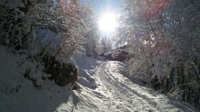 Spazieren im Winter in Lanersbach, © Franz Fankhauser