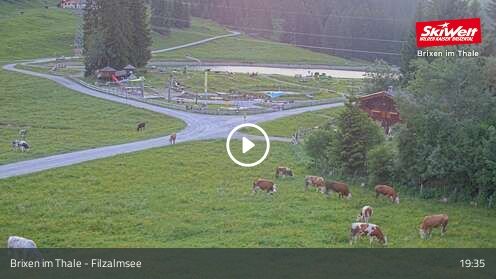 Webcam Filzalmsee
