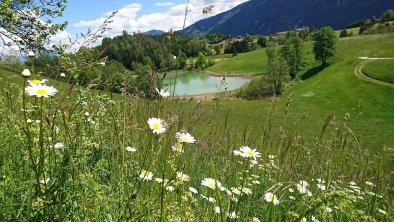 Pulvererhof Sommerlandschaft, © Familie Volland