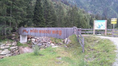 wilde wasserweg bachstelze