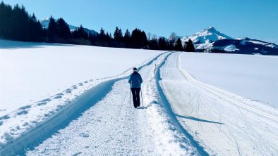 Winterwandern  m. Blick z. Kitzbühler Horn