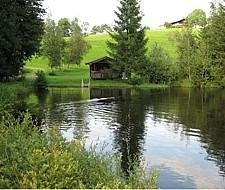 Weiher