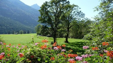 Blick vom Balkon