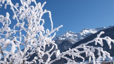 Blick vom Garten