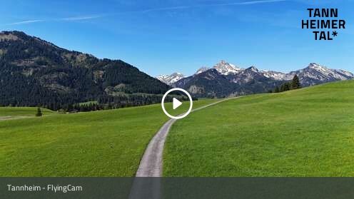 Webcam Tannheim - FlyingCam