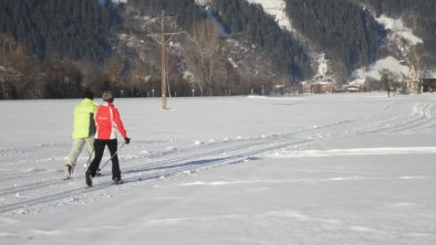 Piste de ski de fond partant directement de notre ferme