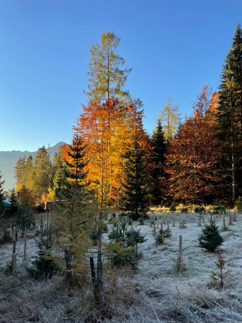 Warm sunshine and clear skies &ndash; autumn is a good time to climb the Hohe Munde mountain.
, © Julia Scheiring