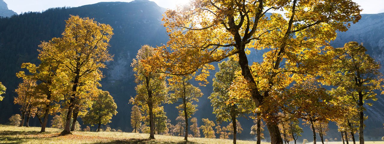 Ahornboden in Eng Valley, © Tirol Werbung/W9 Studios