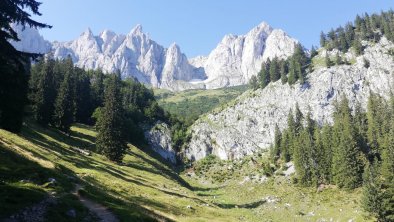 WILDER Kaiser 1, © Oberleitner CH.