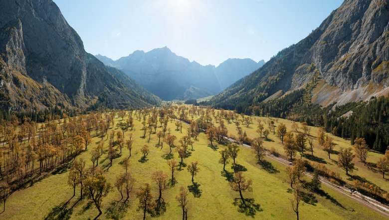 The Gro&szlig;er Ahornboden with its thousands of colourful chestnut trees is a popular destination in autumn. Photo: Tirol Werbung