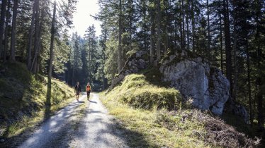 Walking across the scenic Gaistal Valley, © Tirol Werbung/Dominik Gigler
