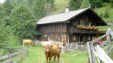 Gullenhütte Sommer