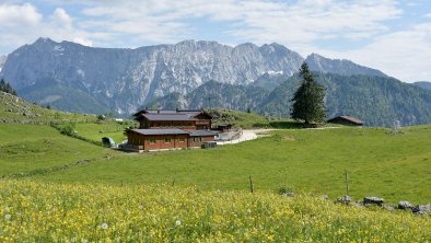 Ritzau Alm Ebbs Kaisertal im Sommer