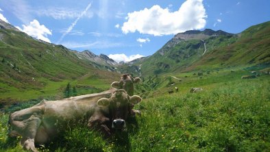 Auf der Alm