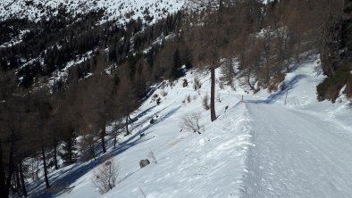 Rodelweg zur Alm