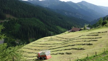 Navistal Valley, © Tirol Werbung/Nicole Pfeifer