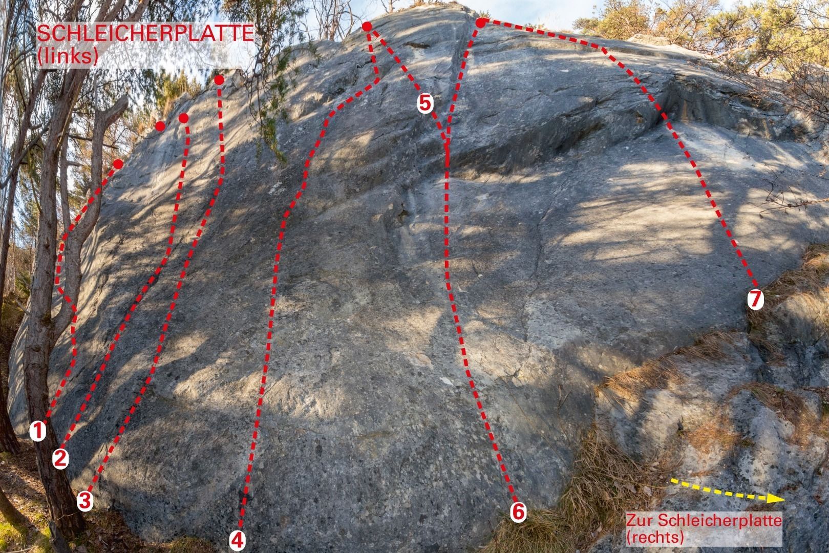 Topography