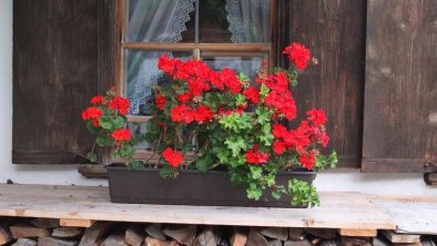 Bauernhaus Ramona - Fenster mit Blumen